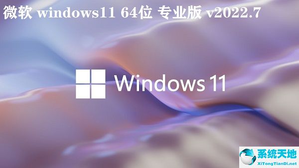 微软 windows11 64位专业版 v2022.7