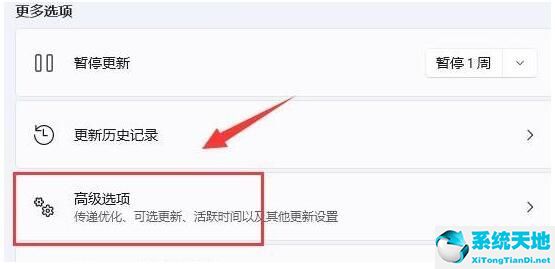 Win11如何限制带宽流量？